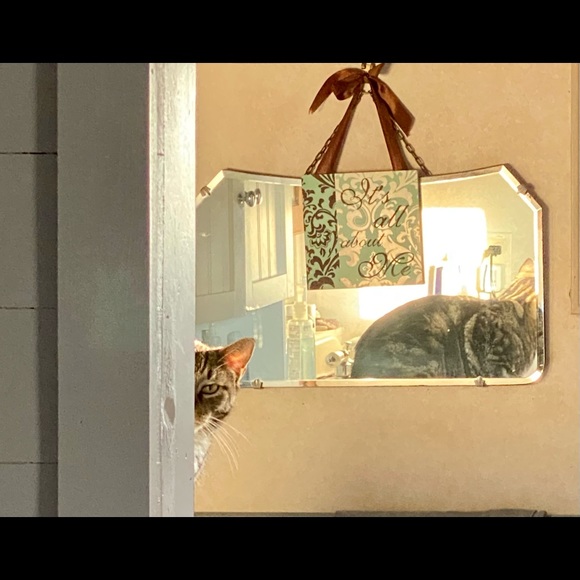 Meet your Posher, Linda - Picture 6 of 10